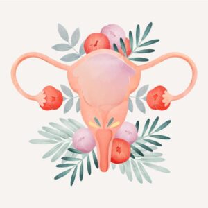 Qué es el prolapso uterino y cómo se trata un útero caído Clínica