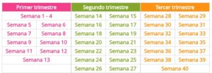 alimentación durante el embarazo