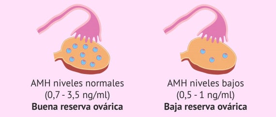 reserva ovárica baja