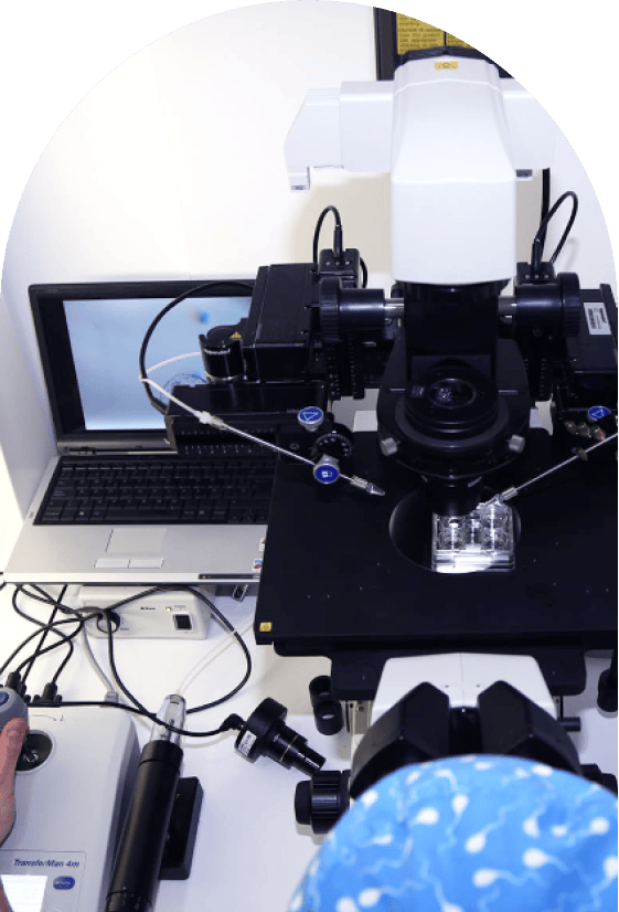 Avance Tecnológico En Reproducción Asistida Técnica Piwa En Clínica Pedrosa Avance Tecnológico En Reproducción Asistida Técnica Piwa En Clínica Pedrosa
