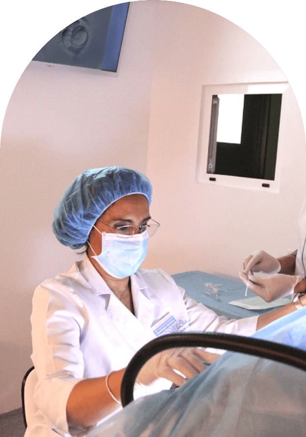 Fecundación In Vitro En Granada Fecundación In Vitro En Granada